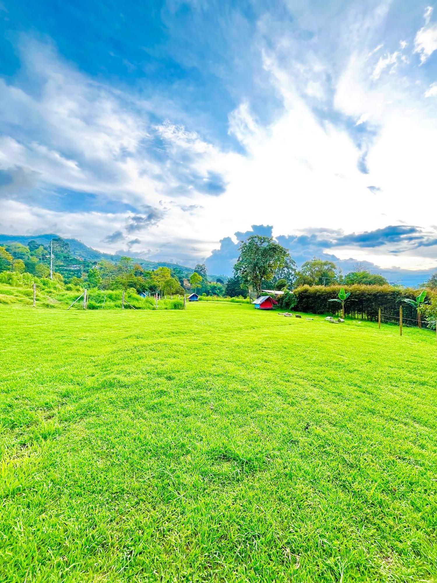 Ecoxplora-Zona De Camping Jardin Exterior photo